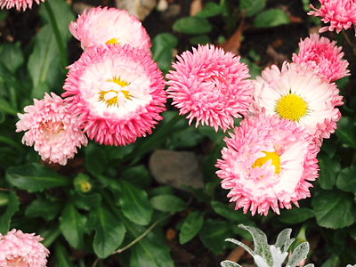 e0022839_235322.jpg