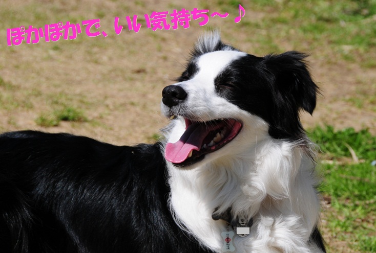 c0147241_2118147.jpg