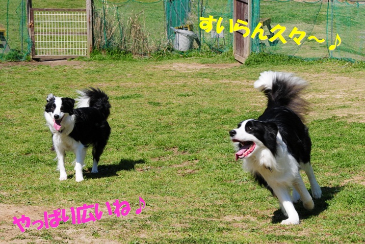 c0147241_2134232.jpg