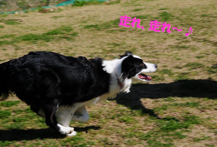 c0147241_2134876.jpg