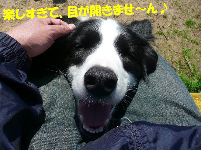 c0147241_2145559.jpg