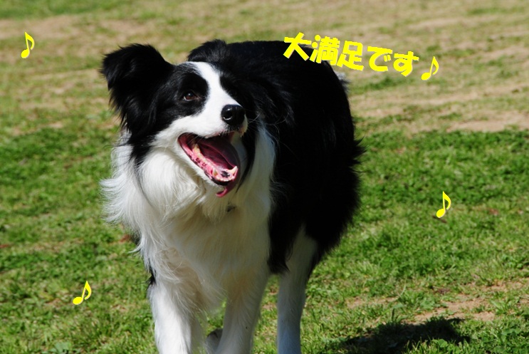 c0147241_214970.jpg