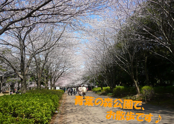 c0147241_2151713.jpg
