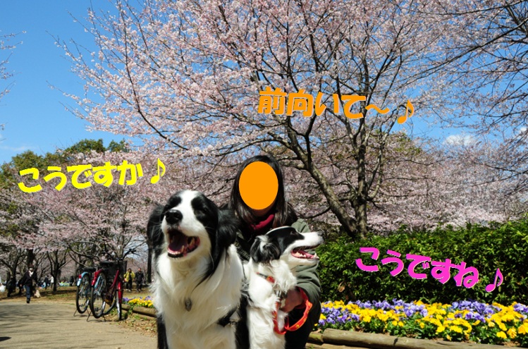 c0147241_2153266.jpg
