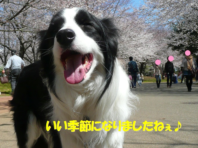 c0147241_2154375.jpg