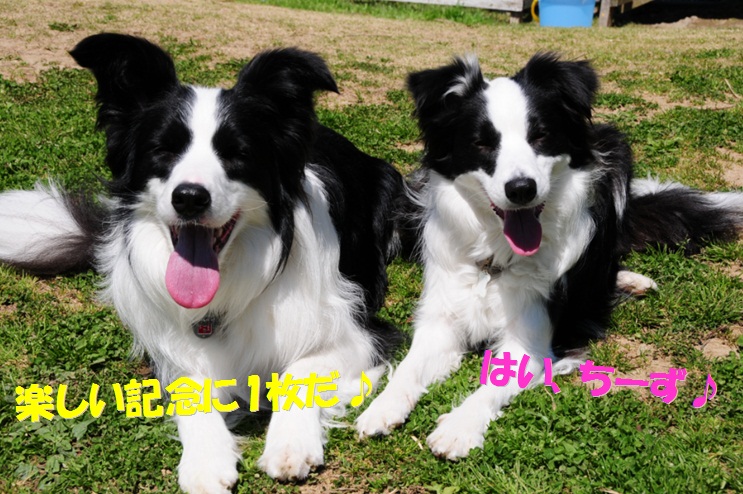c0147241_215660.jpg