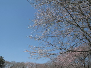 a0198542_2029097.jpg
