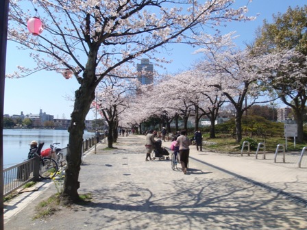 b0080342_2322465.jpg