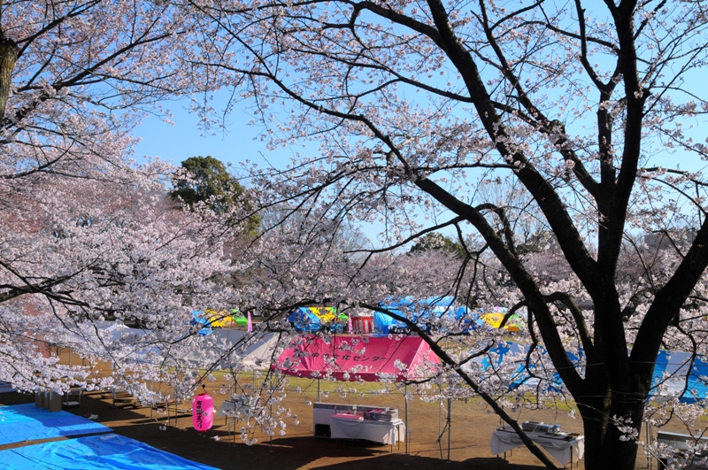 e0095142_2014334.jpg