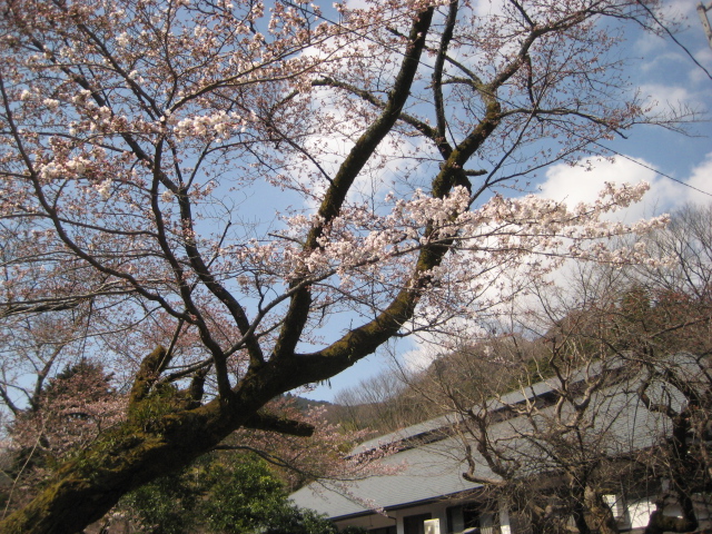 f0172342_11465.jpg