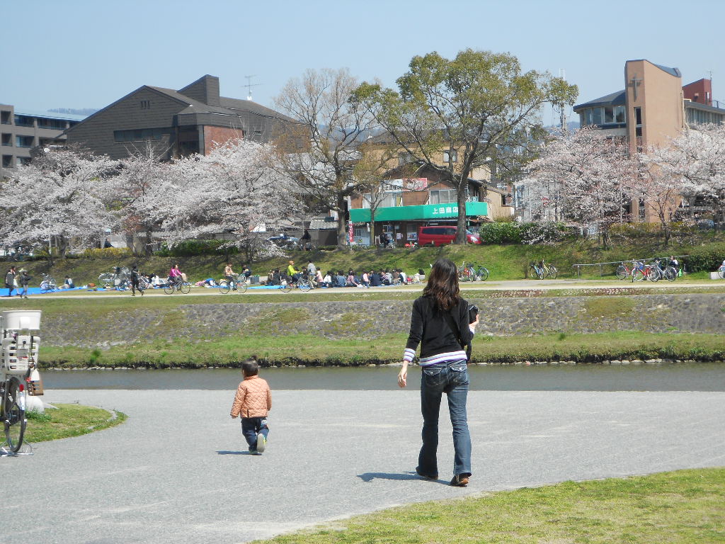 桜、人山人海、京都_d0038545_17292854.jpg