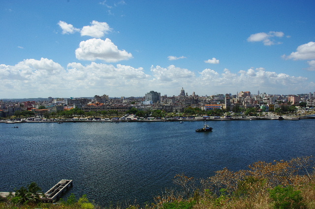 c0011649_1252110.jpg