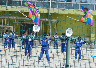 e0172950_1943686.jpg