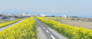 e0172950_1951656.jpg