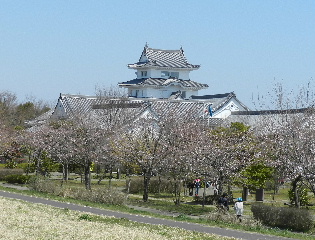 e0172950_1952392.jpg