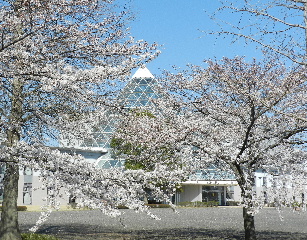 e0172950_19524140.jpg
