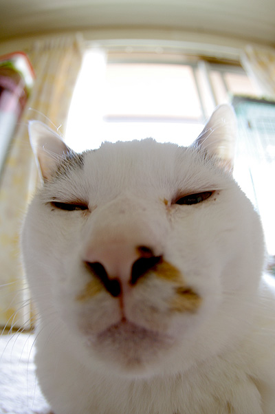 ぬほほほ・・・・_a0028451_23222987.jpg