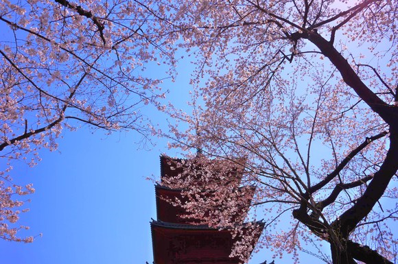 e0241952_2324105.jpg