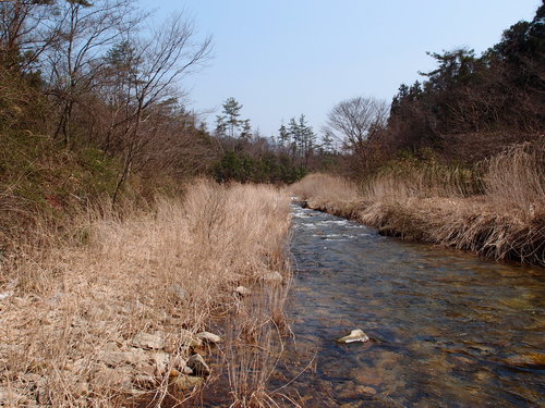c0101953_1882723.jpg