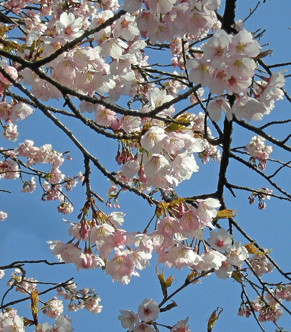 a0001354_23174474.gif