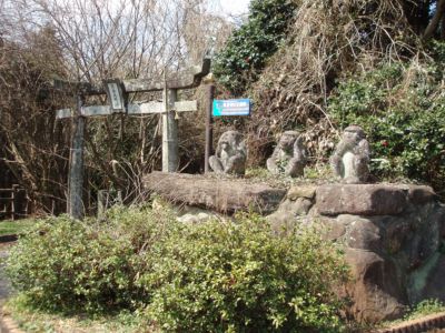 パワースポット壱岐を巡る④男岳山と月に祈る信仰の神社_d0082655_650711.jpg