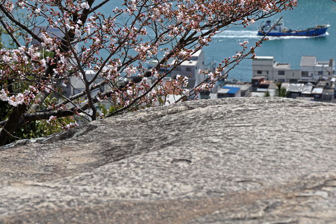     尾道・千光寺公園_f0183556_1553143.jpg