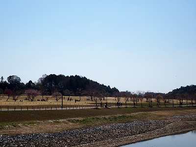 e0170558_2244145.jpg