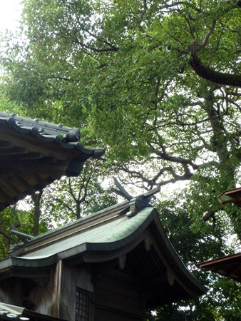 乳山八幡神社・神功皇后は皇子に乳を与えた_c0222861_23595811.jpg