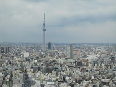 d0156361_199528.jpg