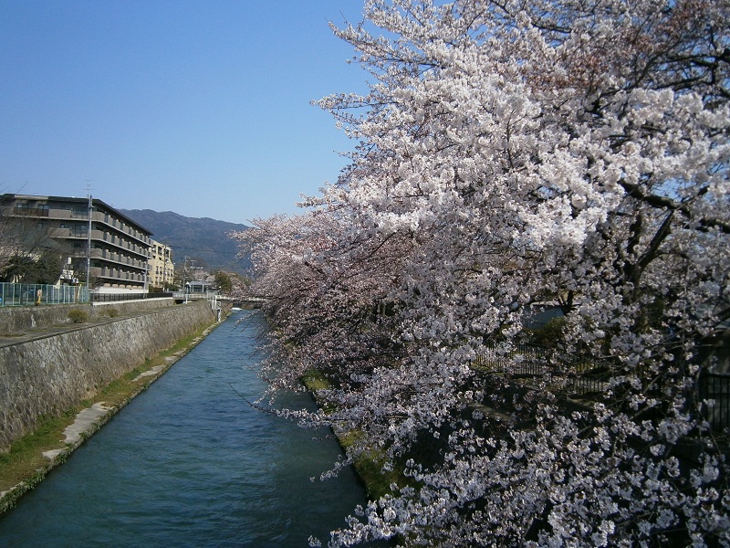 c0128862_18171750.jpg