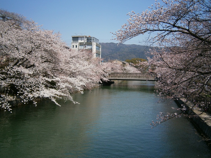 c0128862_18173523.jpg