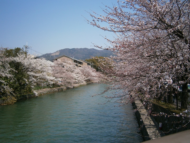 c0128862_18175372.jpg