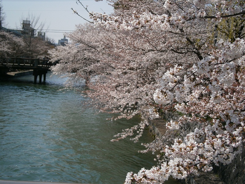c0128862_1818248.jpg