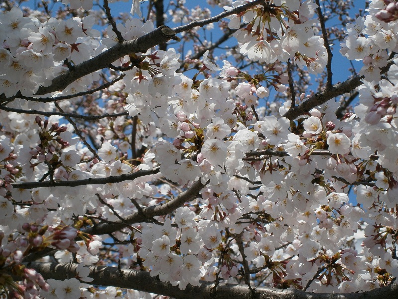 c0128862_18184536.jpg