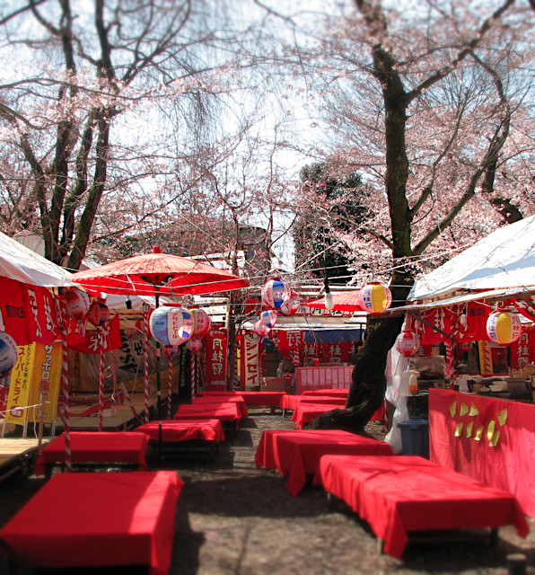 2012.04.08_平野神社_a0167563_2174395.jpg