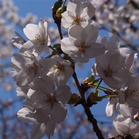 a0123465_2324378.jpg