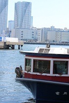 c0141268_19393974.jpg