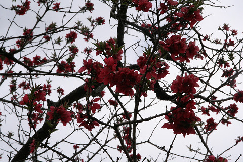 f0219373_0274.jpg