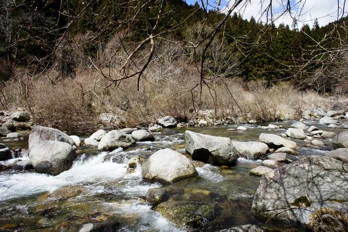c0197578_21224426.jpg