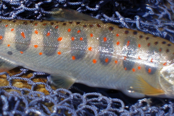 c0197578_23113850.jpg