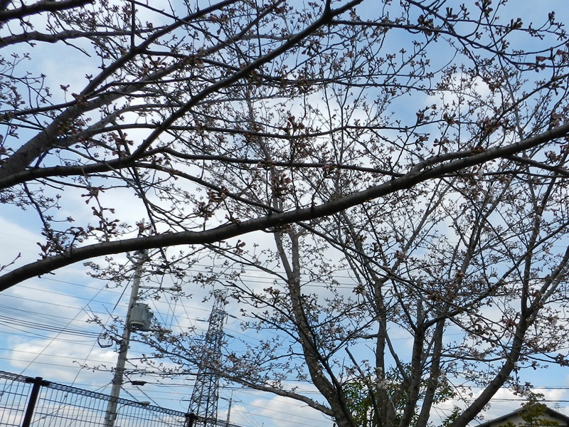 c0212783_22157.jpg