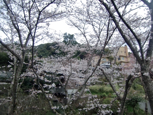 b0207284_2352824.jpg