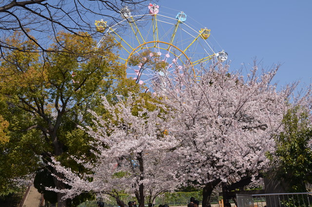 ２０１２年４月神戸パンダ見隊_a0052986_2338258.jpg