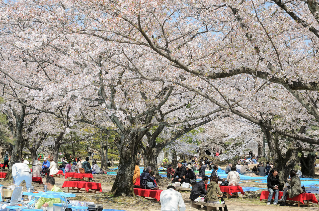 舞鶴公園スナップ -4-_c0235188_6434893.jpg