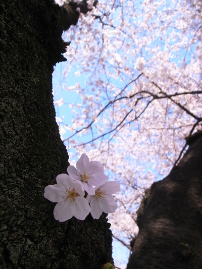 f0024090_18393897.jpg