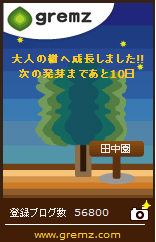 祝！横井園芸です（仮） 開設 !!_b0200291_21191477.jpg