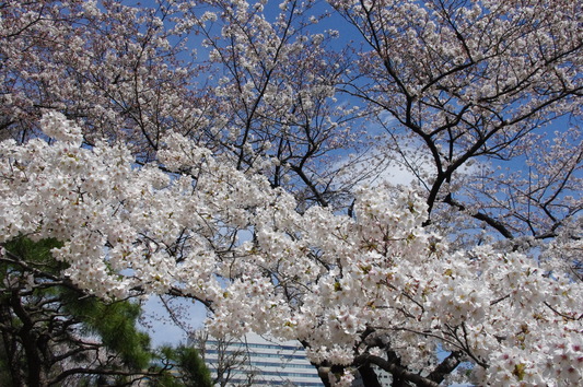 c0068891_833221.jpg