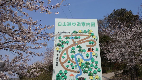 b0227193_16201347.jpg