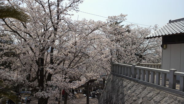 b0227193_16384665.jpg