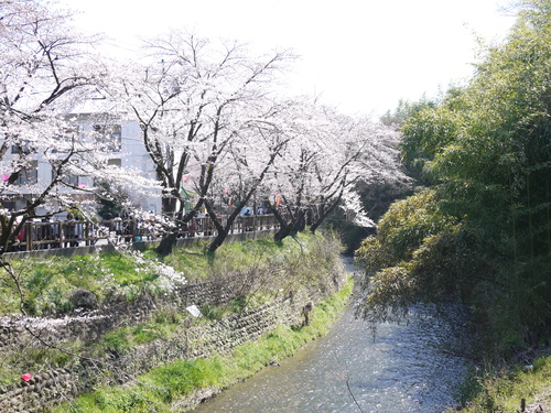 d0196594_21502521.jpg